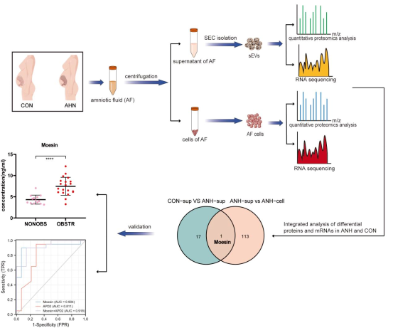 1691993558471167.png 2.png